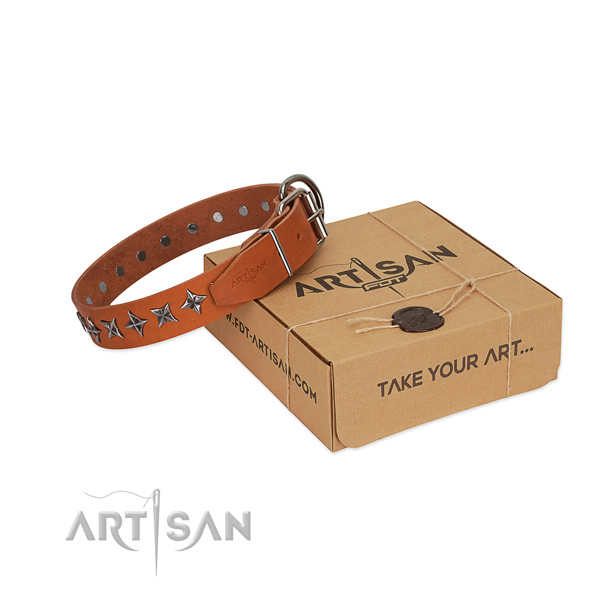 Top quality full grain genuine leather dog collar with fashionable adornments