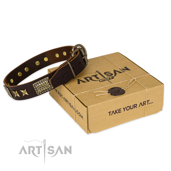 Corrosion resistant fittings on genuine leather collar for your impressive canine