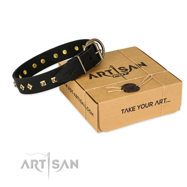 Corrosion resistant hardware on genuine leather collar for your beautiful four-legged friend