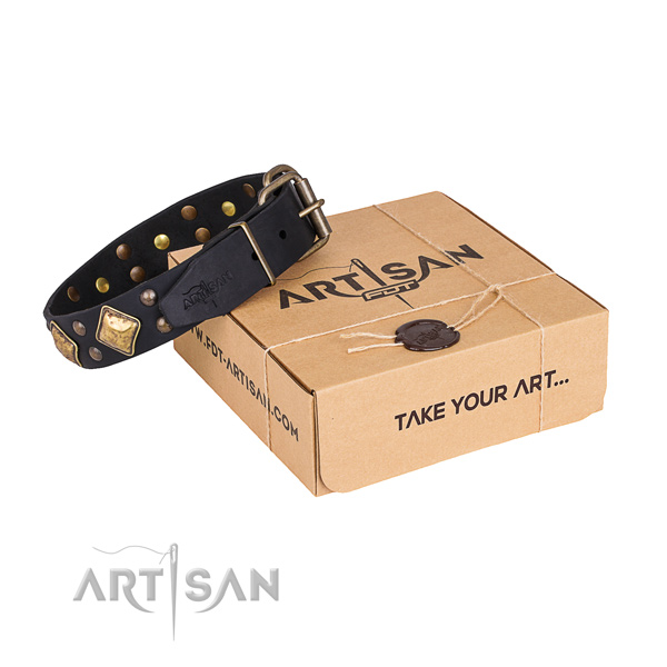 Basic training dog collar with Extraordinary rust resistant adornments