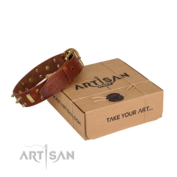 Handy use dog collar of finest quality full grain natural leather with decorations