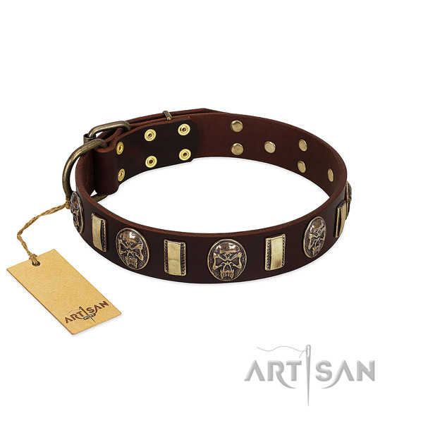 Stylish design full grain natural leather dog collar for stylish walking