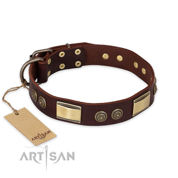 Unusual natural genuine leather dog collar for stylish walking