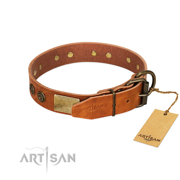 Rust resistant fittings on full grain natural leather collar for basic training your dog