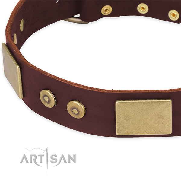 Full grain genuine leather dog collar with adornments for daily walking