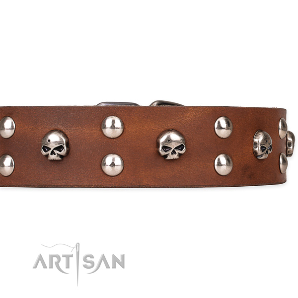 Fancy walking adorned dog collar of high quality full grain natural leather