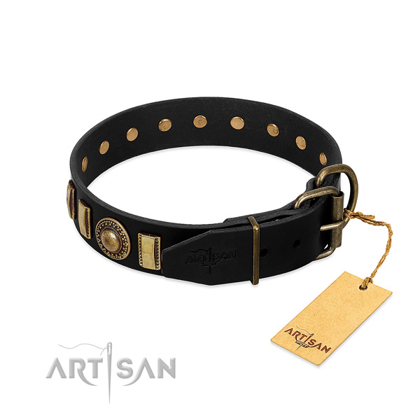 Strong full grain leather dog collar with embellishments