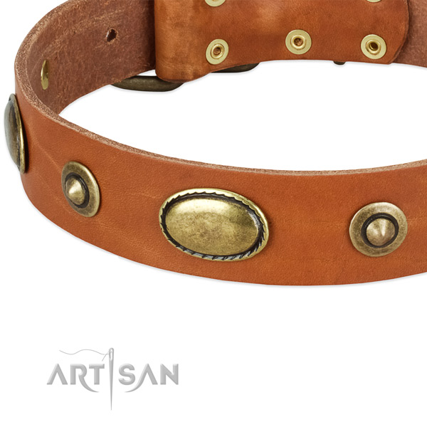 Reliable traditional buckle on genuine leather dog collar for your four-legged friend