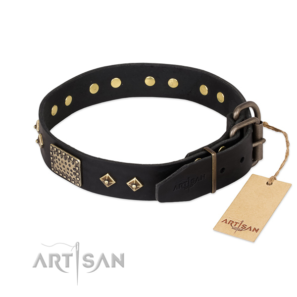 Full grain leather dog collar with durable buckle and embellishments