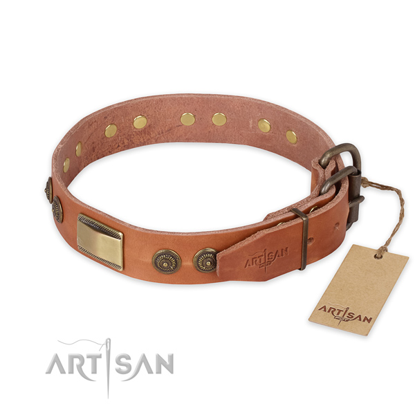 Durable fittings on full grain leather collar for daily walking your dog