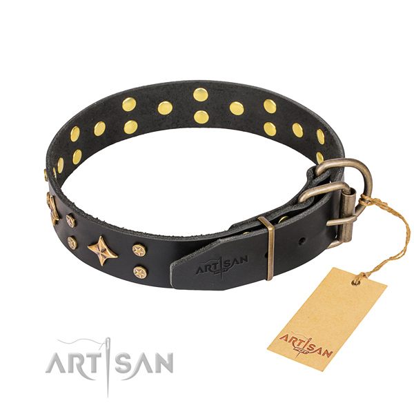 Walking adorned dog collar of best quality genuine leather