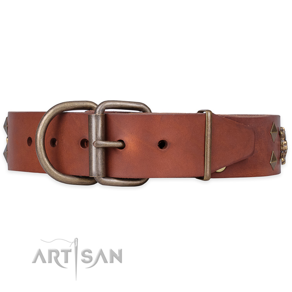 Stylish walking decorated dog collar of top notch natural leather