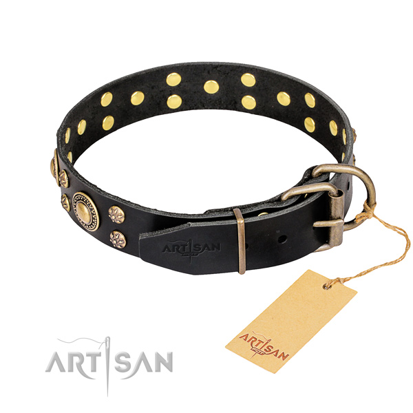 Comfortable wearing studded dog collar of finest quality full grain natural leather