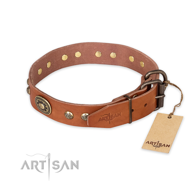 Corrosion resistant traditional buckle on leather collar for daily walking your doggie