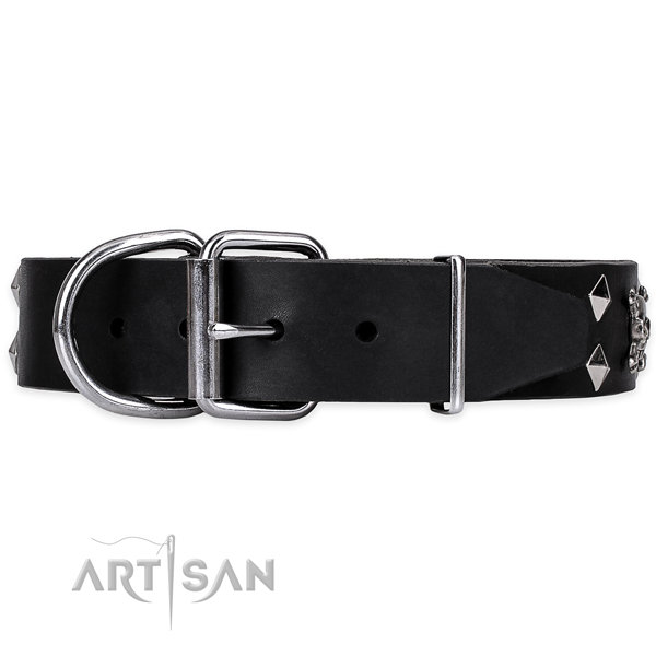 Fancy walking studded dog collar of finest quality full grain leather