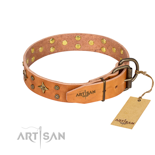 Stylish walking embellished dog collar of best quality full grain leather