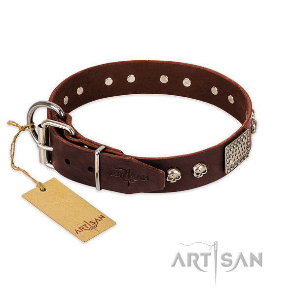 Strong studs on everyday walking dog collar