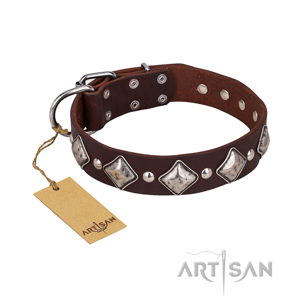 Walking dog collar of high quality full grain leather with adornments