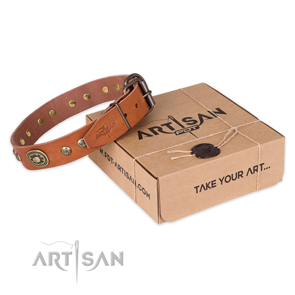 Reliable traditional buckle on full grain leather dog collar for fancy walking