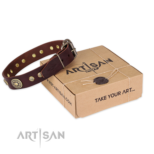 Rust resistant fittings on full grain genuine leather dog collar for everyday walking