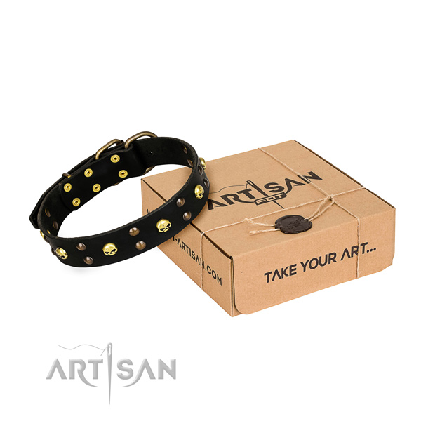 Stylish walking dog collar of finest quality natural leather with studs