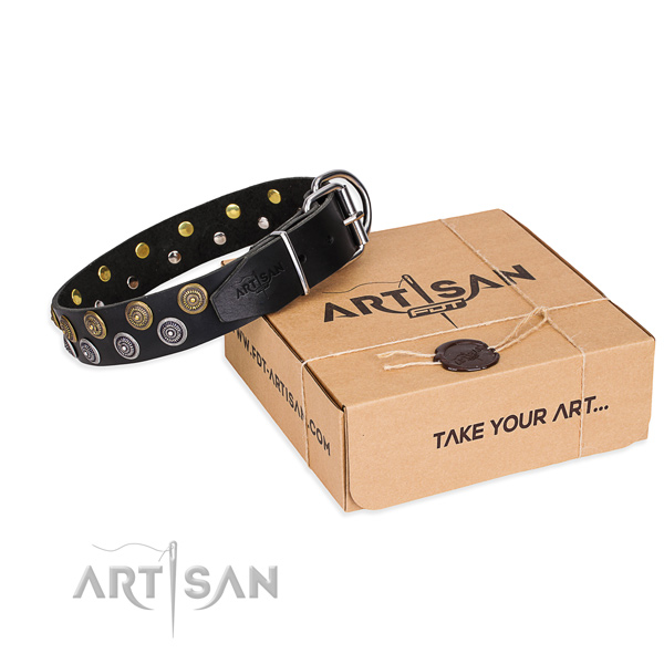 Basic training dog collar of reliable natural leather with adornments