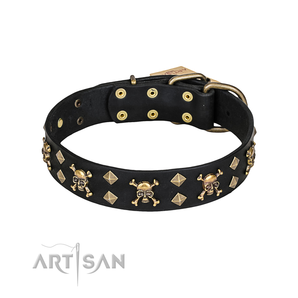 Everyday use dog collar of finest quality genuine leather with embellishments