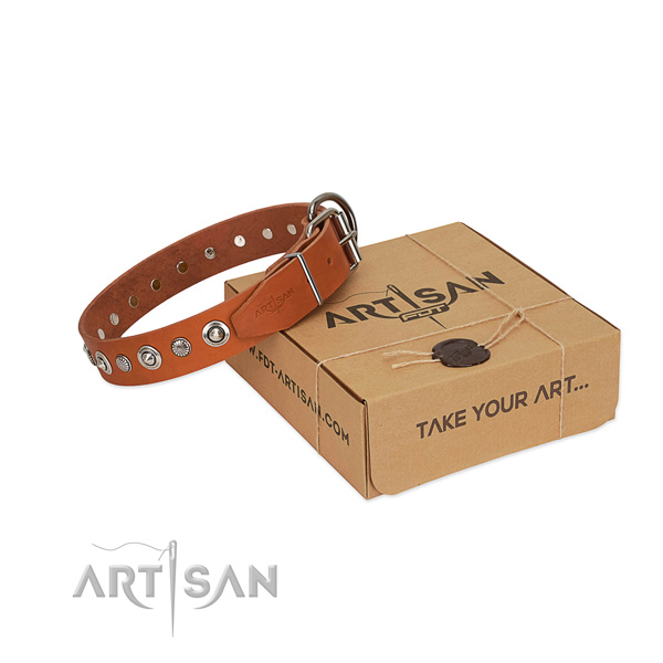 Durable full grain natural leather dog collar with fashionable embellishments