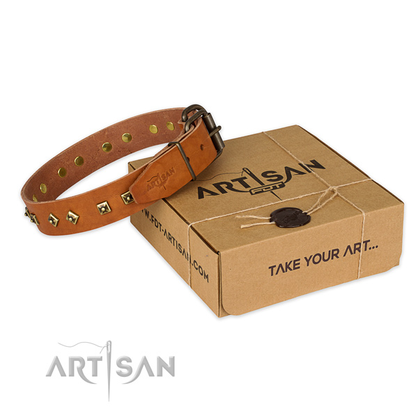 Rust-proof traditional buckle on natural leather dog collar for everyday use