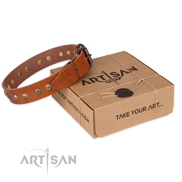 Rust-proof hardware on leather collar for your handsome dog