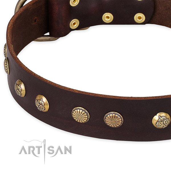 Natural genuine leather collar with durable traditional buckle for your beautiful four-legged friend