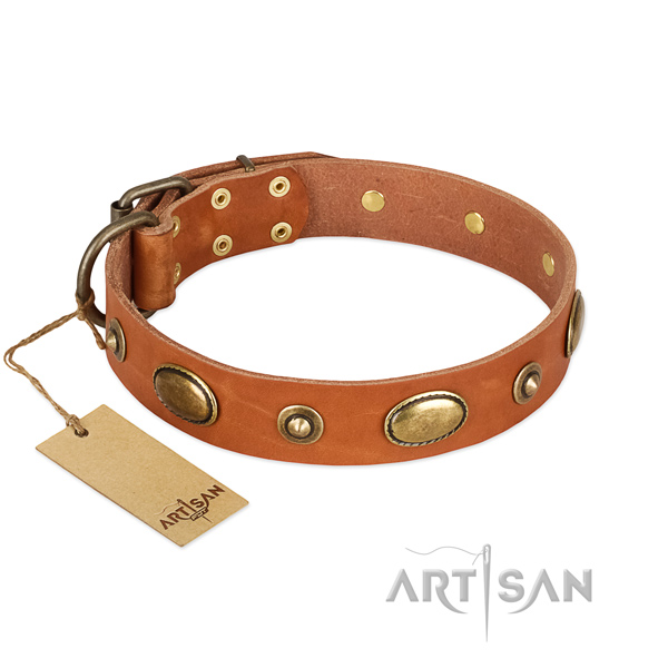 Impressive full grain leather collar for your doggie