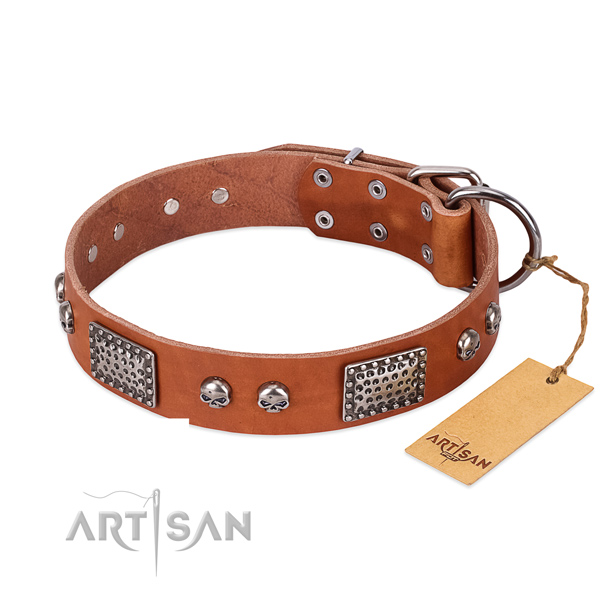 Easy adjustable full grain genuine leather dog collar for daily walking your four-legged friend