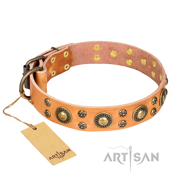 Comfy wearing dog collar of fine quality full grain leather with embellishments