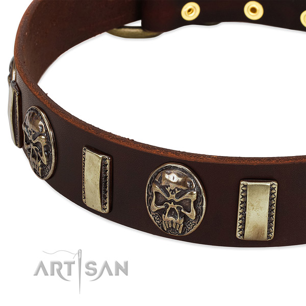 Corrosion proof traditional buckle on full grain natural leather dog collar for your dog