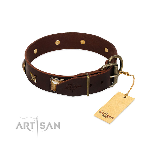 Full grain natural leather dog collar with durable D-ring and studs