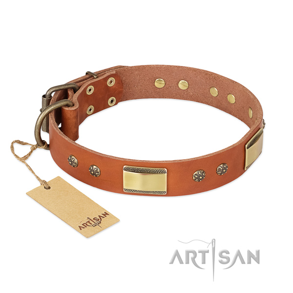 Inimitable full grain natural leather collar for your four-legged friend