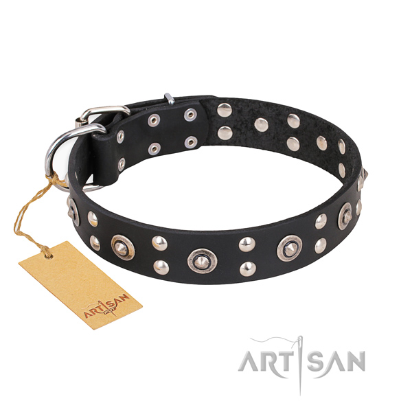 Daily use fine quality dog collar with strong fittings