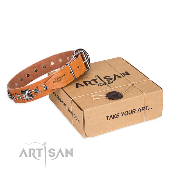 Handy use dog collar of top quality genuine leather with adornments