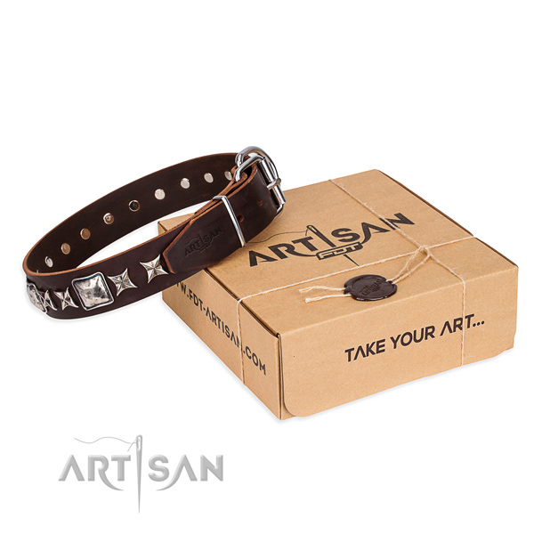 Everyday walking dog collar of fine quality genuine leather with studs