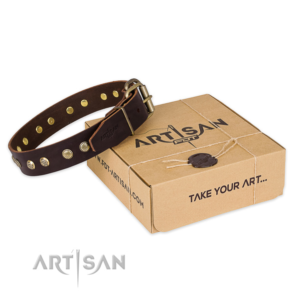 Corrosion proof fittings on leather collar for your impressive pet