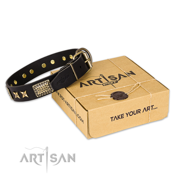 Reliable traditional buckle on full grain natural leather collar for your handsome dog