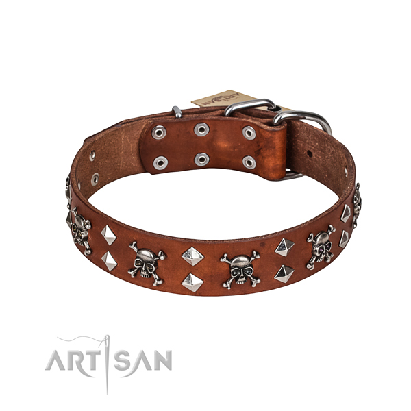 Easy wearing dog collar of durable leather with adornments