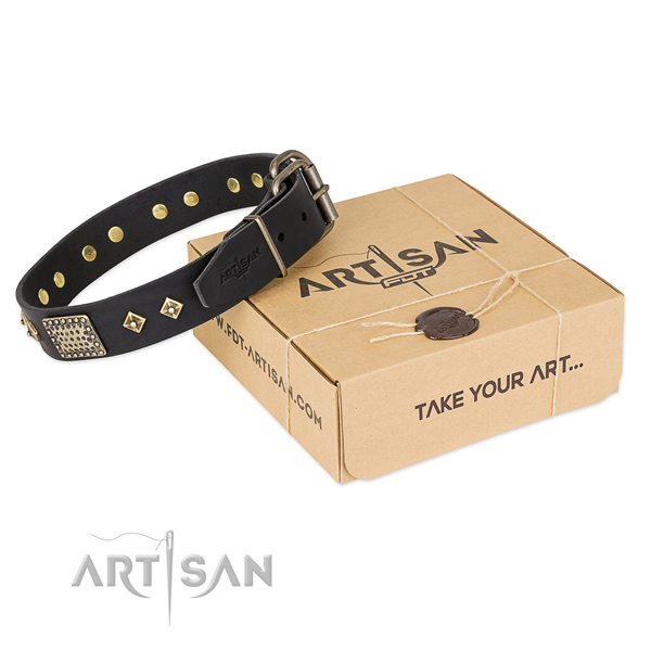 Stunning genuine leather collar for your handsome four-legged friend