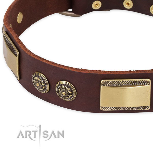 Top notch full grain leather collar for your handsome canine