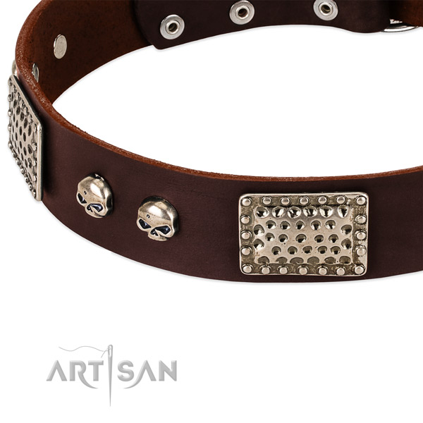 Strong studs on leather dog collar for your pet