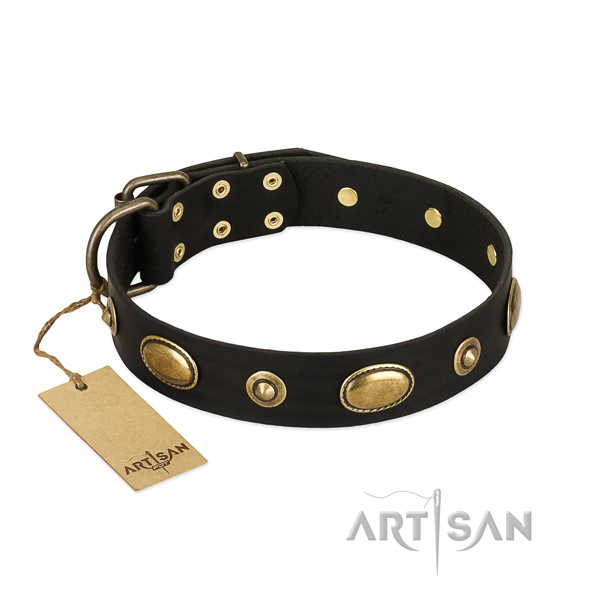 Inimitable natural leather collar for your doggie