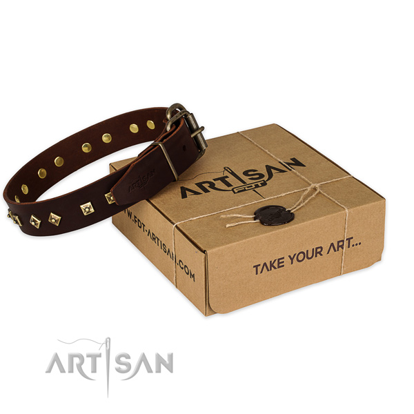 Rust resistant fittings on leather dog collar for everyday use