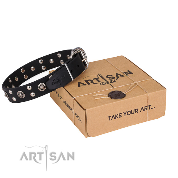 Stylish walking dog collar with Extraordinary corrosion proof decorations