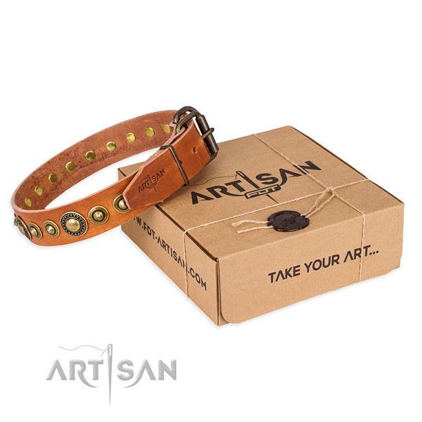 Strong full grain natural leather dog collar handmade for everyday walking